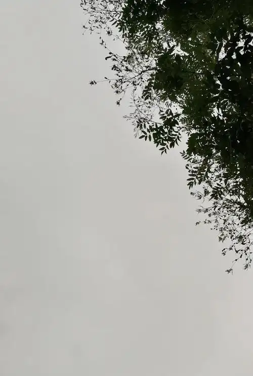 阴天- 堆糖,美图壁纸兴趣社区