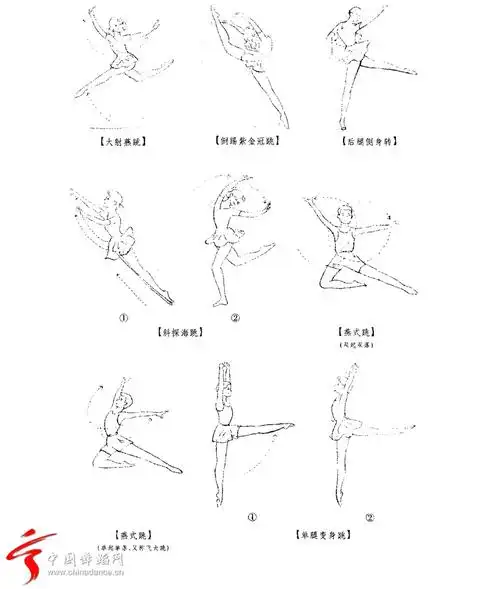 中国古典舞蹈教学常用术语及动作图示