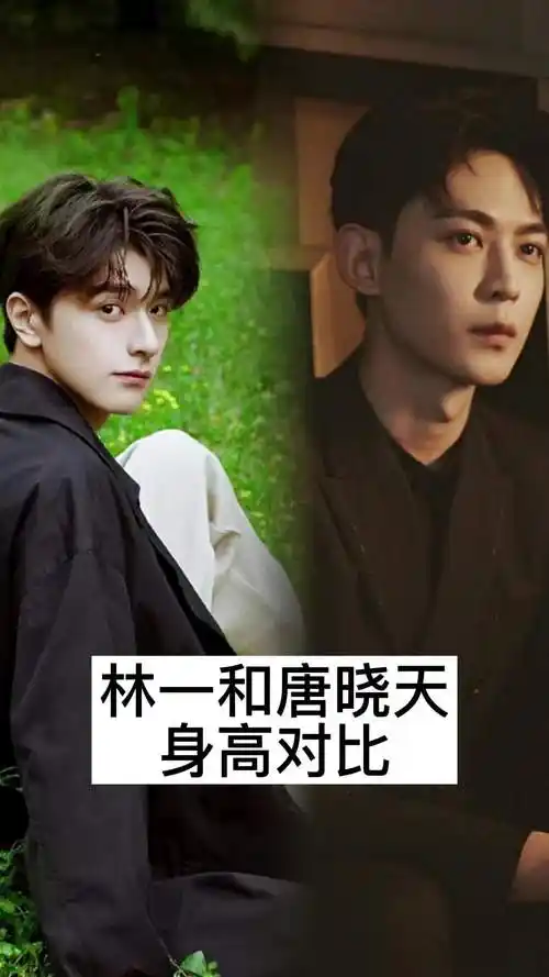 林一和唐晓天身高对比,你了解了吗
