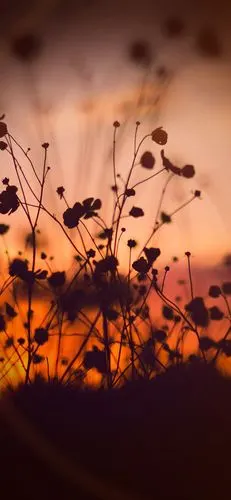 iphone x尺寸 天空,风景 高清无水印手机壁纸 锁屏壁纸第99期|水印