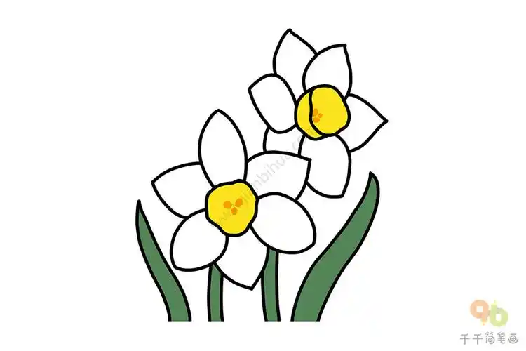 水仙花简笔画儿童画