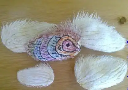 吃剩芒果核不仅可以种盆栽画上几笔好看的摆件就出来了