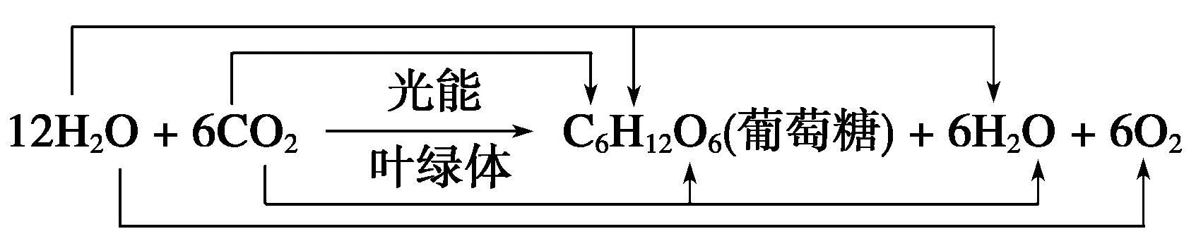 植物光合作用的生成物为葡萄糖时,其反应式为