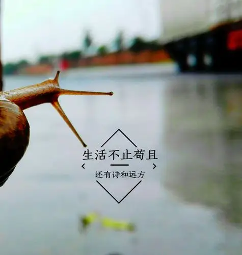 生活不止眼前的苟且,还有诗和远方!