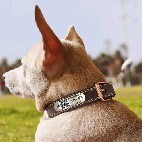 扫码定位刻字宠物狗项圈定制中大型狗牌真皮猫咪防丢失脖颈圈铃铛