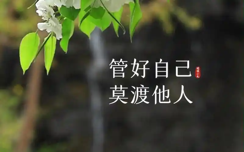 人生这场旅行,不是所有人都会去同一个地方,管好自己,莫渡他人,给他人