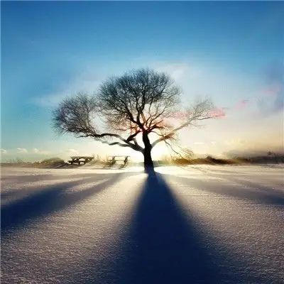 微信最吉利的好看头像风景男 2019年吉利微信风景头像男