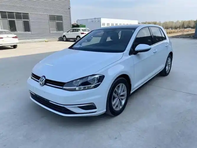 大众 高尔夫  2019款  200tsi dsg舒适型 国vi图片