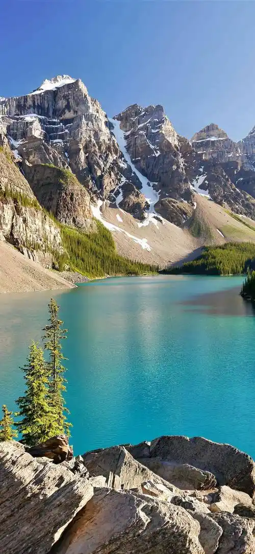 超耐看的全面屏壁纸