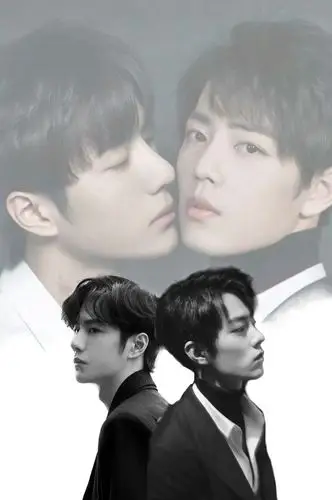 博君一肖王一博肖战