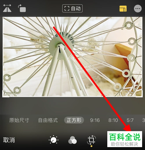 如何将苹果手机iphone11中照片的形状设置为正方形