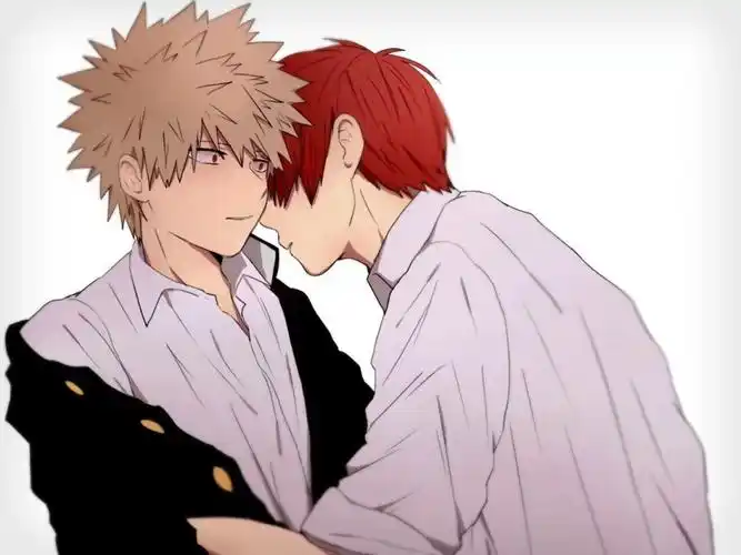 我的英雄学院 焦冻×胜己 专场2