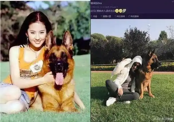 回顾33岁刘亦菲不再靠干爹如今淡然的神仙姐姐又回来了