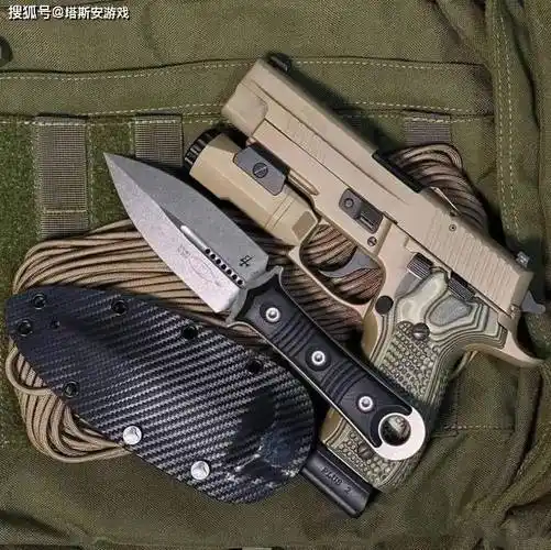 欧美特种兵的十大标志性枪械,每个都很漂亮_系列突击步枪_霰弹枪_枪身