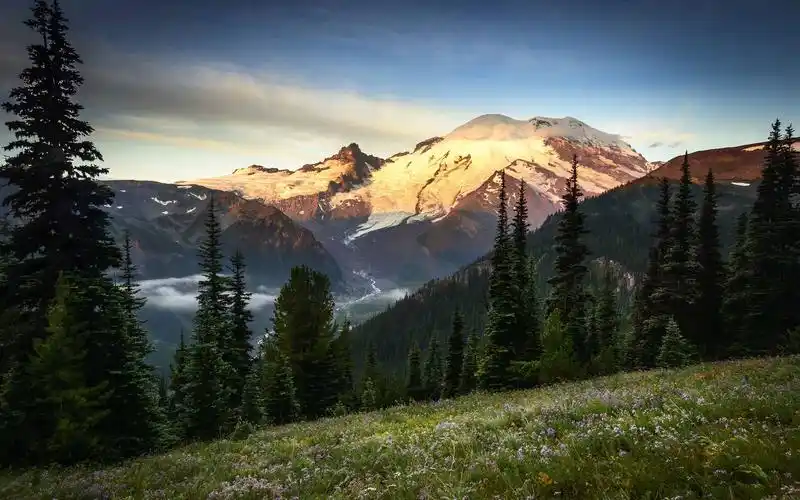 山景观树草高清壁纸1600x900分辨率查看