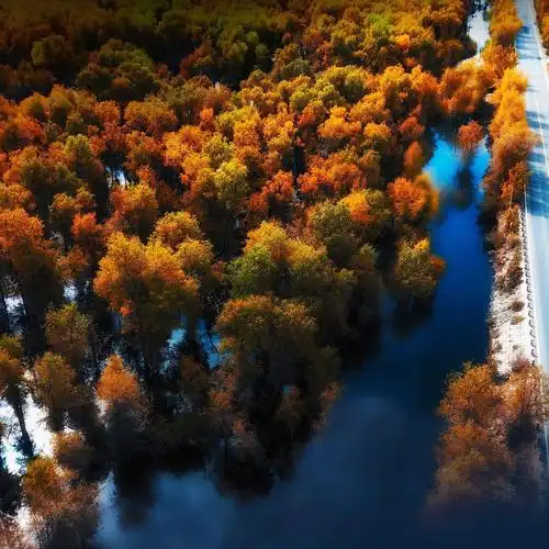 华为mate40系列主题壁纸