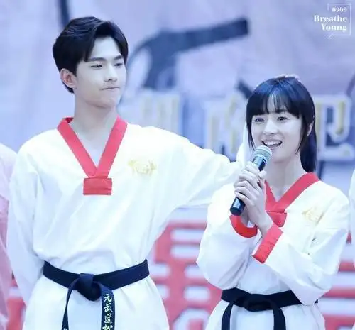 杨洋|郑爽|宋茜_新浪新闻