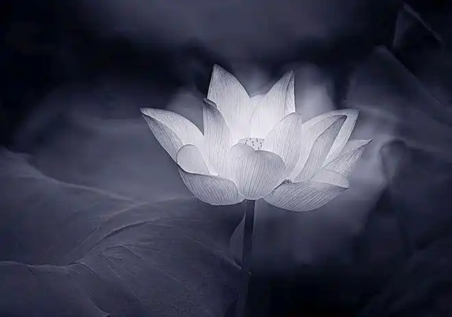 首先,要加强学习,正心修身.