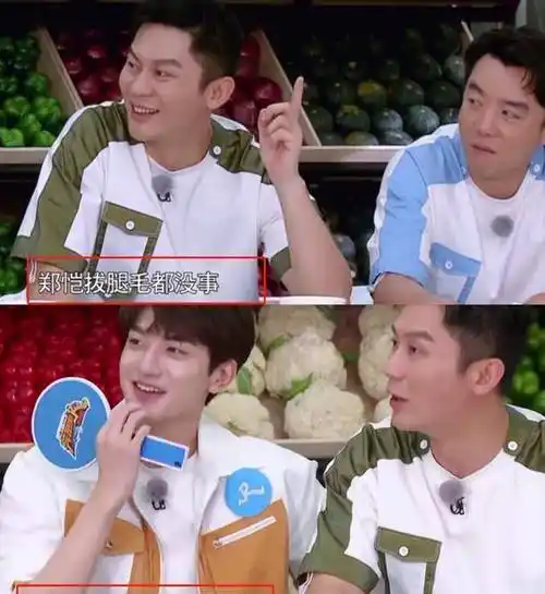 林一成"蔡徐坤接班人"?