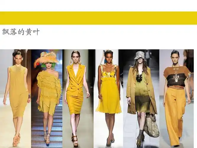 流行服饰2013年流行服装色彩ppt