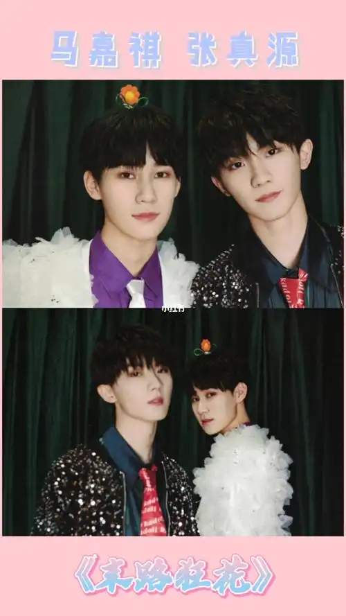 马嘉祺张真源马嘉祺张真源末路狂花