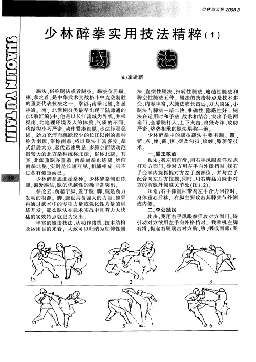 少林醉拳实用技法精粹(1)踢法