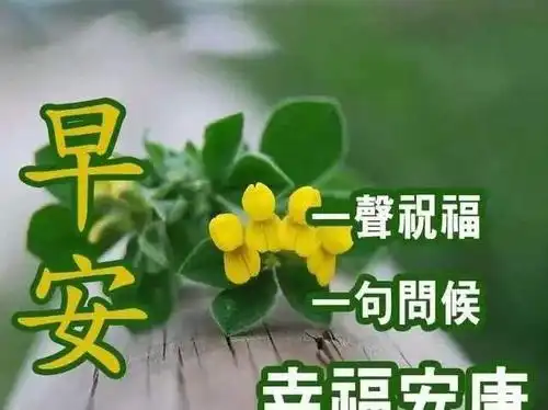 超级漂亮早上好问候祝福语,最美冬季早安带字带祝福图片