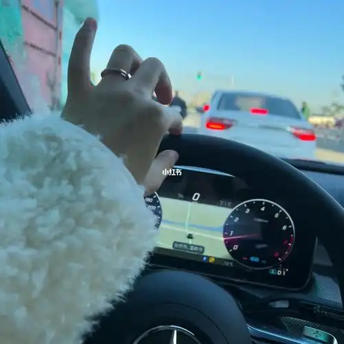 咱就说多少w的车才会有方向盘加热