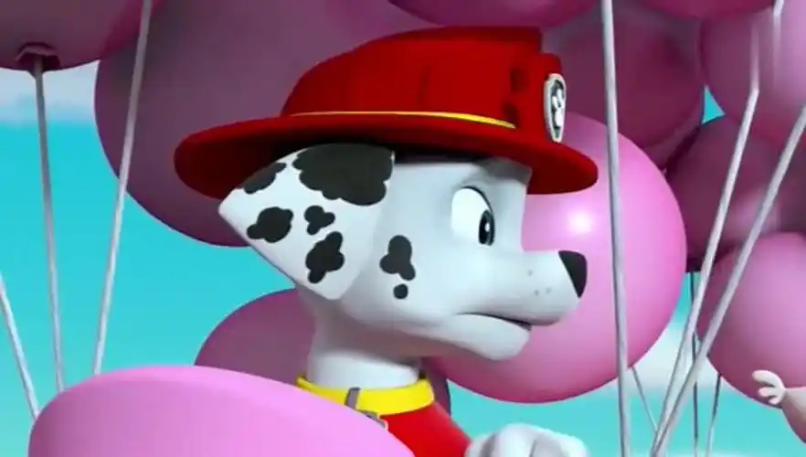 汪汪队立大功:咕咕鸡从天上掉下来了 幸好有阿奇的网子