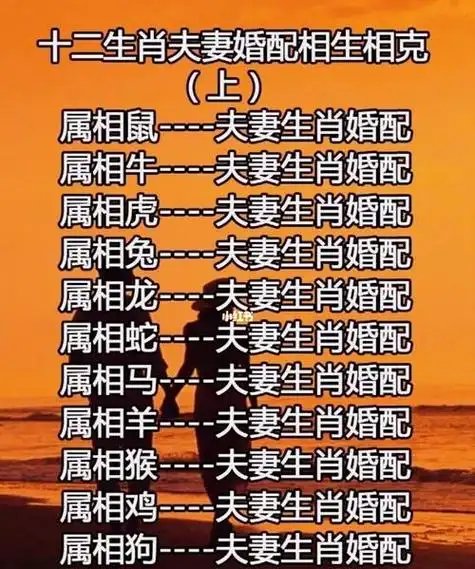 生肖配对查询表属相 :生肖配对表