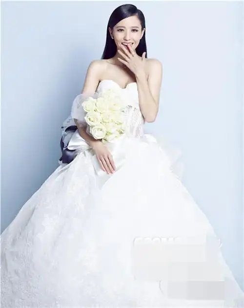 陈思诚佟丽娅再拍婚纱大片秀恩爱-薇晴结婚网