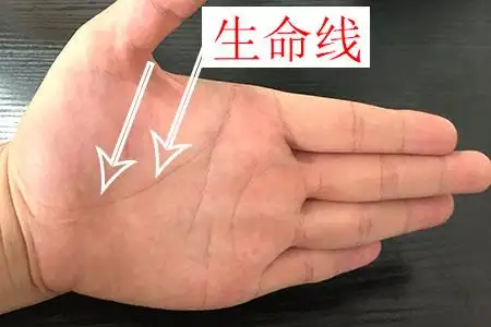 早死的手相生命线图解