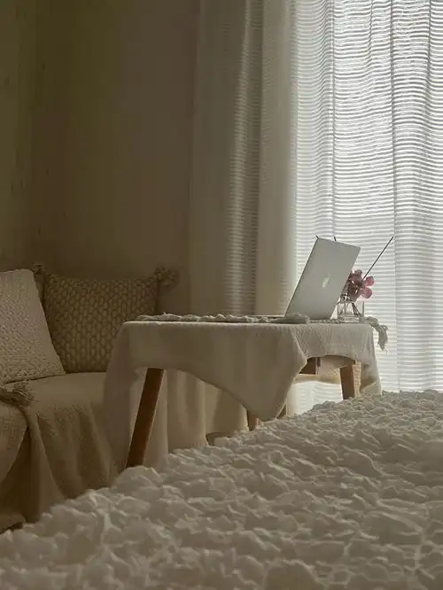 ins家居风单身公寓内装