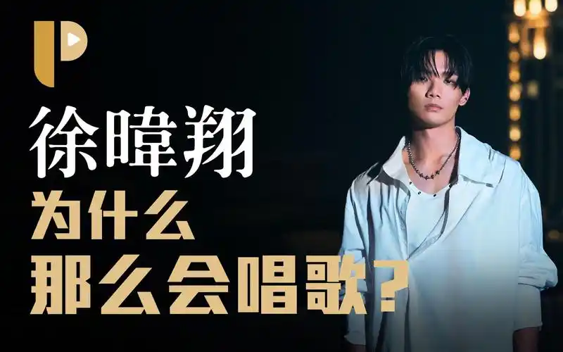 徐暐翔这男生太会唱了吧!-阿p聊音乐-阿p聊音乐-哔哩哔哩视频