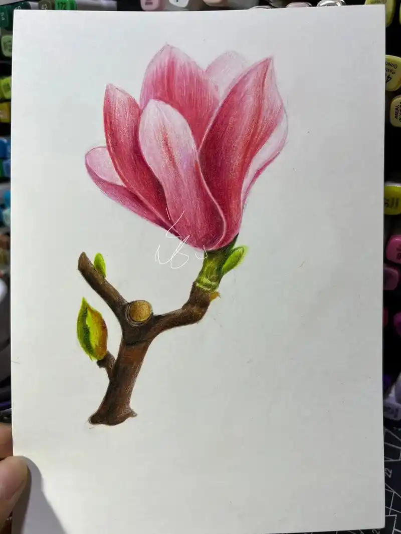 彩铅玉兰花教程#跟着抖音学画画 #一学就会系列 #彩铅画画入 - 抖音