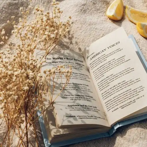 风景小清新文艺朋友圈置顶背景图