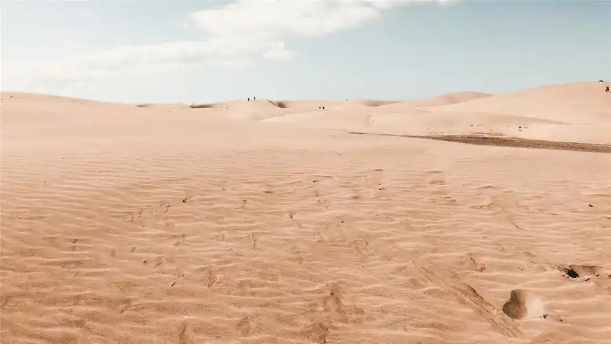 金色沙漠风景高清桌面壁纸