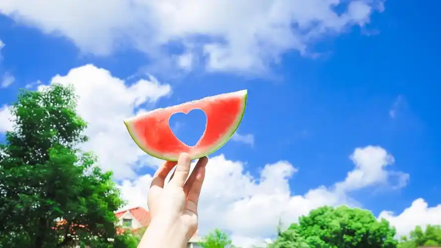 夏日清凉西瓜创意宽屏桌面壁纸高清大图预览2560x1440_风格壁纸下载