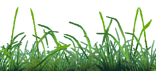 658_301gif 动态图 动图