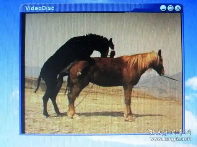 探索动物繁殖的奥秘动物性爱大全6碟vcd光盘59种动物的性爱过程光盘都