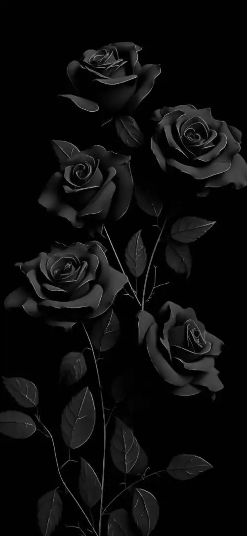 高清壁纸无水印#黑色省电壁纸