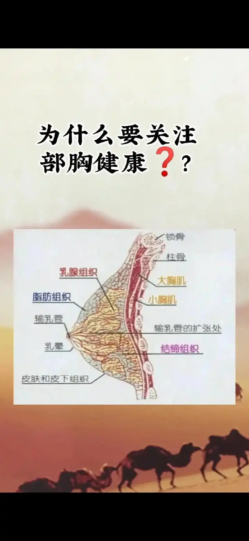 抖音图文来了  为什么要关注部胸健康71?