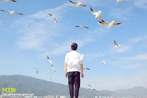 男##外景##海边##海鸥