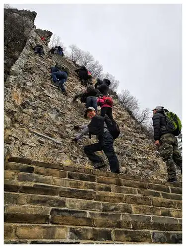 鹰飞倒仰2019.11.16