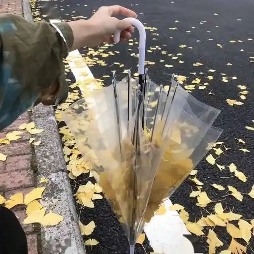 你要的微信朋友圈封面来了个性又好看