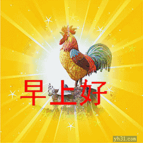 早上好动态情图片大全早安问候语