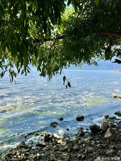 #100张年度旅行照片##记录旅行#