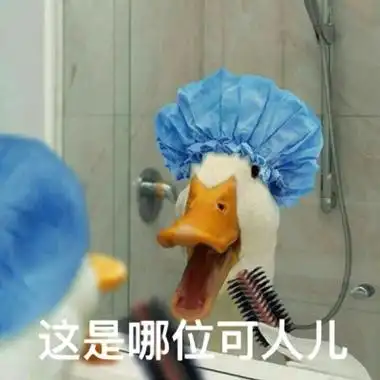 最近流行的鸭子表情包头像图片_搞笑头像_美头网