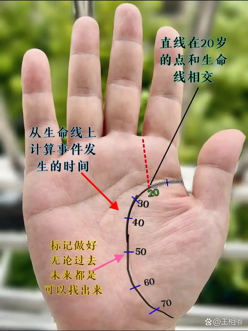 手心痣,伴随我一生的印记,像山川湖海,刻在心上.