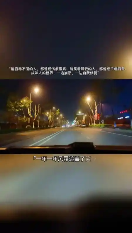 有些事不能言不能语,只能自己默默承受,一个人的路一个人走